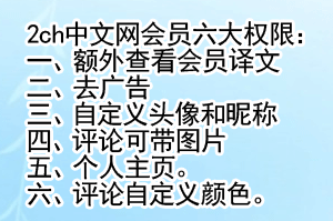 2ch：【悲报】我网上聊天认识的中国美人，聊到大熊猫时像变了个人😨